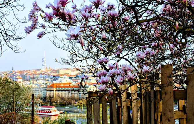 Self-guided discovery walk in Prague with breathtaking views and parks - Image 2